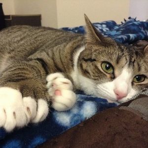 Meet your Posher, Lindsey